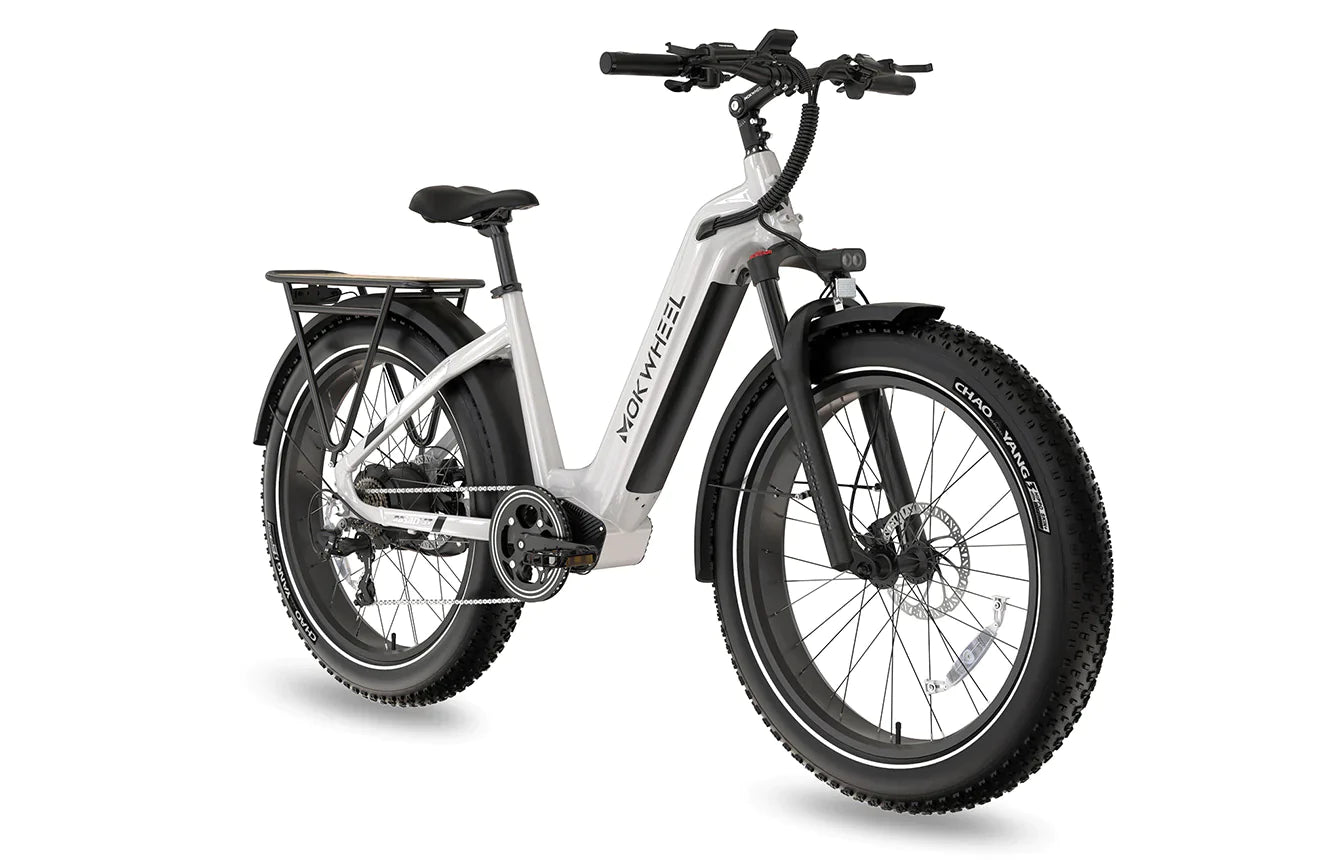 Mokwheel Basalt ST