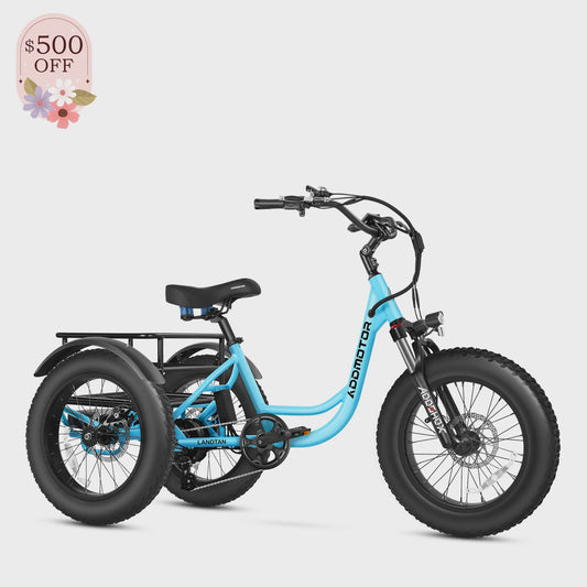 Landtan Fat Tire eTrike