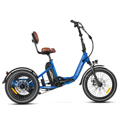 CityTri E-310