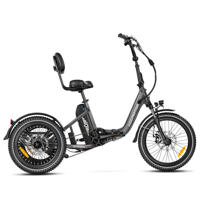 CityTri E-310