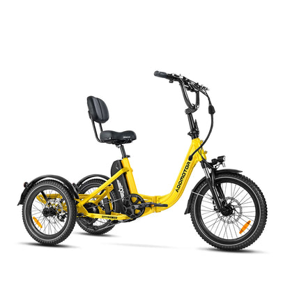 CityTri E-310